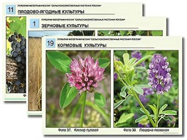 Гербарий фотографический "Сельскохозяйственные растения России" - fgospostavki.ru - Балашиха