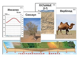 Модель-аппликация "Природные зоны" - fgospostavki.ru - Балашиха