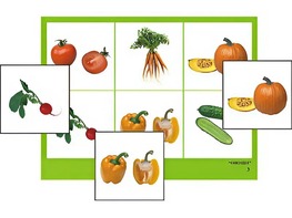Логопедическое лото "Овощи" (4 планшета, 24 карточки, цветное, ламинированное) - fgospostavki.ru - Балашиха