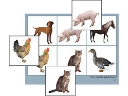 Логопедическое лото "Домашние животные" (4 планшета, 24 карточки, цветное, ламинированное) - fgospostavki.ru - Балашиха