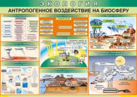 Таблица "Антропогенное воздействие на биосферу" (100х140 сантиметров, винил) - fgospostavki.ru - Балашиха