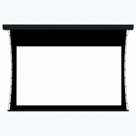 Экран настенный с электроприводом DSTPX-16915 - fgospostavki.ru - Балашиха