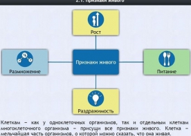 Интерактивные курсы. Биология 5 класс. Базовый - fgospostavki.ru - Балашиха