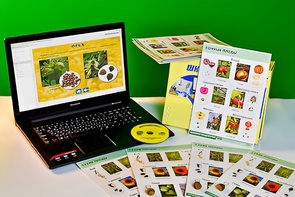 Коллекция натурально-интерактивная "Семена и плоды" - fgospostavki.ru - Балашиха