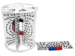 Модель для демонстрации в объеме линий магнитного поля - fgospostavki.ru - Балашиха