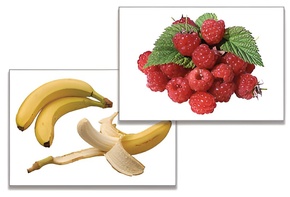 Дидактическое пособие "Фрукты, ягоды, орехи" (24 карточки) - fgospostavki.ru - Балашиха