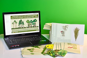 Гербарий натурально-интерактивный "Растительные сообщества. Лес" - fgospostavki.ru - Балашиха