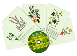 Интерактивный наглядный комплекс "Гербарий "Для начальной школы" - fgospostavki.ru - Балашиха