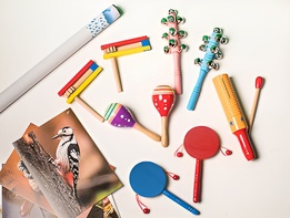 Комплект шумовых музыкальных инструментов - fgospostavki.ru - Балашиха