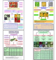 Плакаты ПРОФТЕХ "Классификация овощей" (11 пл, винил, 70х100) - fgospostavki.ru - Балашиха