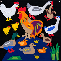 Пособие для слабовидящих детей «Домашние птицы» - fgospostavki.ru - Балашиха