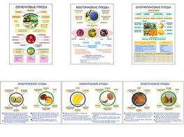 Плакаты ПРОФТЕХ "Плоды" (6 пл, винил, 70х100) - fgospostavki.ru - Балашиха