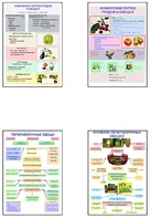 Плакаты ПРОФТЕХ "Классификация овощей и переработка" (8 пл, винил, 70х100) - fgospostavki.ru - Балашиха