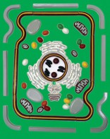 Модель-аппликация "Строение клетки" (набор из 54 пластмассовых фигур) - fgospostavki.ru - Балашиха