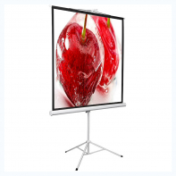 Экран на штативе DSKD-1106 - fgospostavki.ru - Балашиха