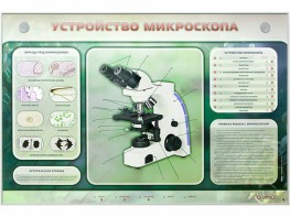 Электрифицированный стенд "Устройство микроскопа и правила работы c ним" - fgospostavki.ru - Балашиха