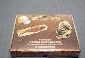 Коллекция "Формы сохранности ископаемых растений и животных" - fgospostavki.ru - Балашиха