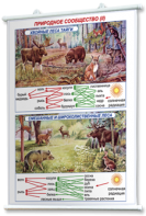 Плакаты по географии России для оформления кабинета. - fgospostavki.ru - Балашиха