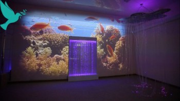 Проекционный дизайн виртуальной реальности Расширеный пакет - fgospostavki.ru - Балашиха