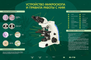 Электрифицированный стенд "Устройство микроскопа и правила работы c ним" - fgospostavki.ru - Балашиха