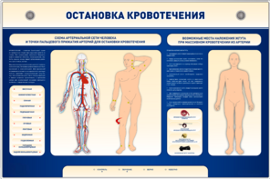 Электрифицированный стенд-тренажер "Остановка кровотечения" - fgospostavki.ru - Балашиха