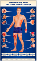 Электрифицированный стенд-тренажер "Травматизм и меры оказания первой помощи" - fgospostavki.ru - Балашиха