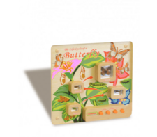 Панель «Жизненный цикл бабочки» - fgospostavki.ru - Балашиха