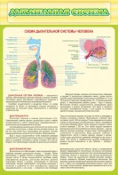 Стенд "Дыхательная система" - fgospostavki.ru - Балашиха