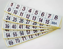 Фишки для игры «Бинго» со шрифтом Брайля - fgospostavki.ru - Балашиха