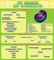 Стенд "От клетки до организма" - fgospostavki.ru - Балашиха