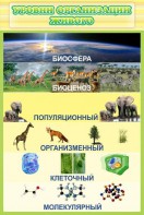 Стенд "Уровни организации живого" - fgospostavki.ru - Балашиха