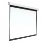 Экран настенный с электроприводом DSEF-16909 - fgospostavki.ru - Балашиха