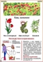 Комплект кодотранспарантов "Ядовитые растения" - fgospostavki.ru - Балашиха